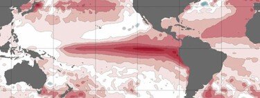 "Es tan extremo que es difícil de creer": las previsiones de El Niño dibujan un evento de una intensidad inédita